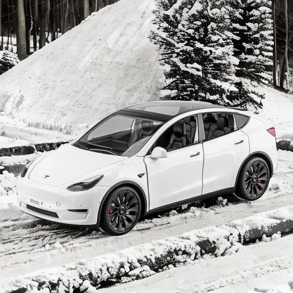 1/24 Tesla Model Y